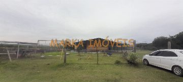 Miniatura 11
